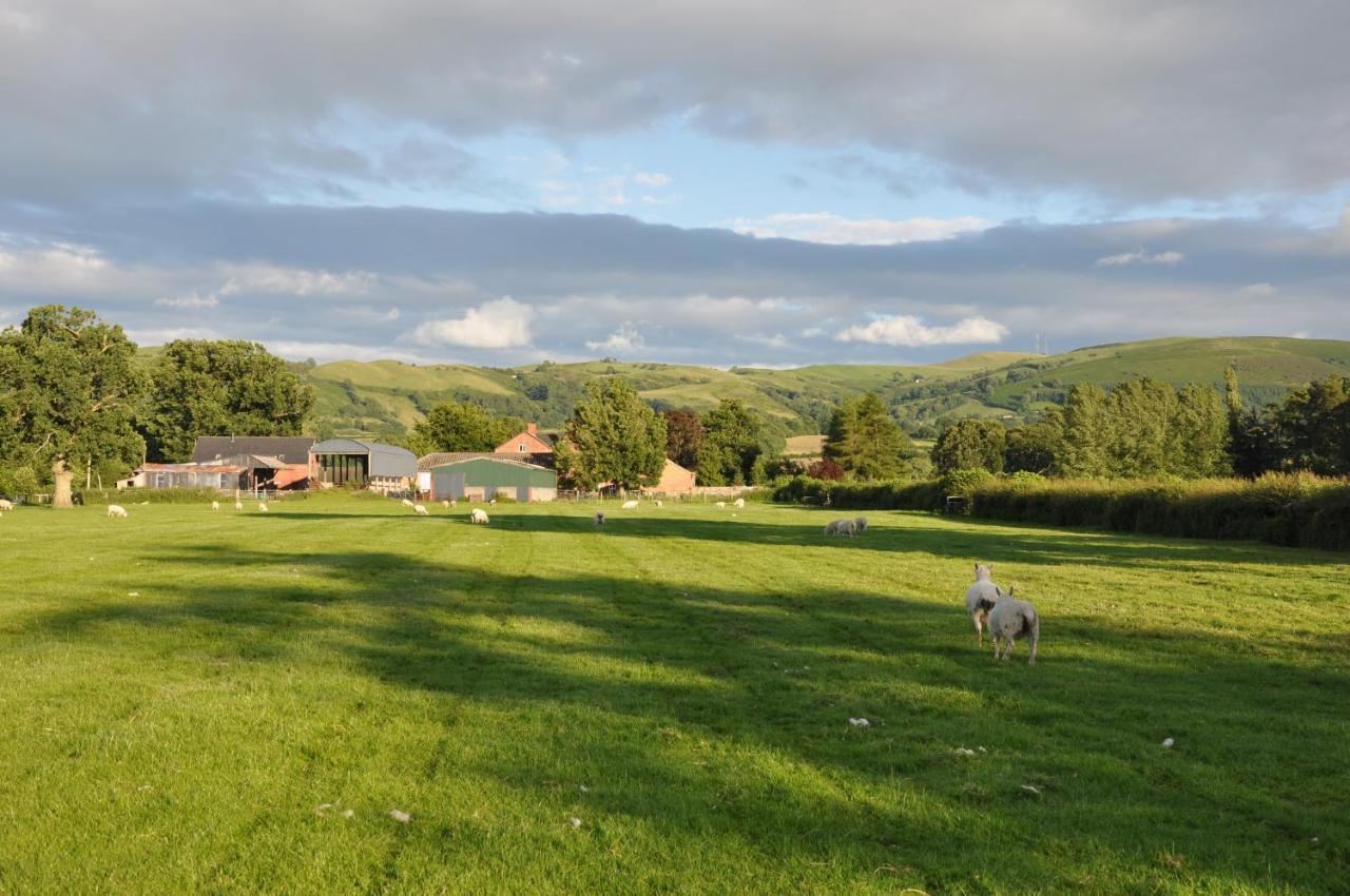 Mid Wales Arts B&B Caersws Екстериор снимка