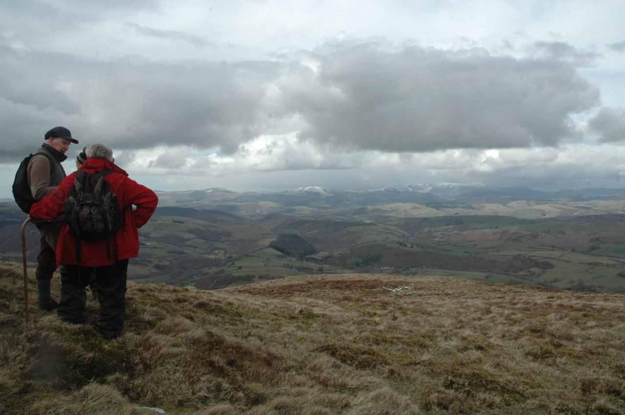 Mid Wales Arts B&B Caersws Екстериор снимка